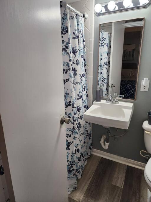 Blue Shark *W7* @ Montrose 1Br Private King Loft Apartment Houston Exterior photo